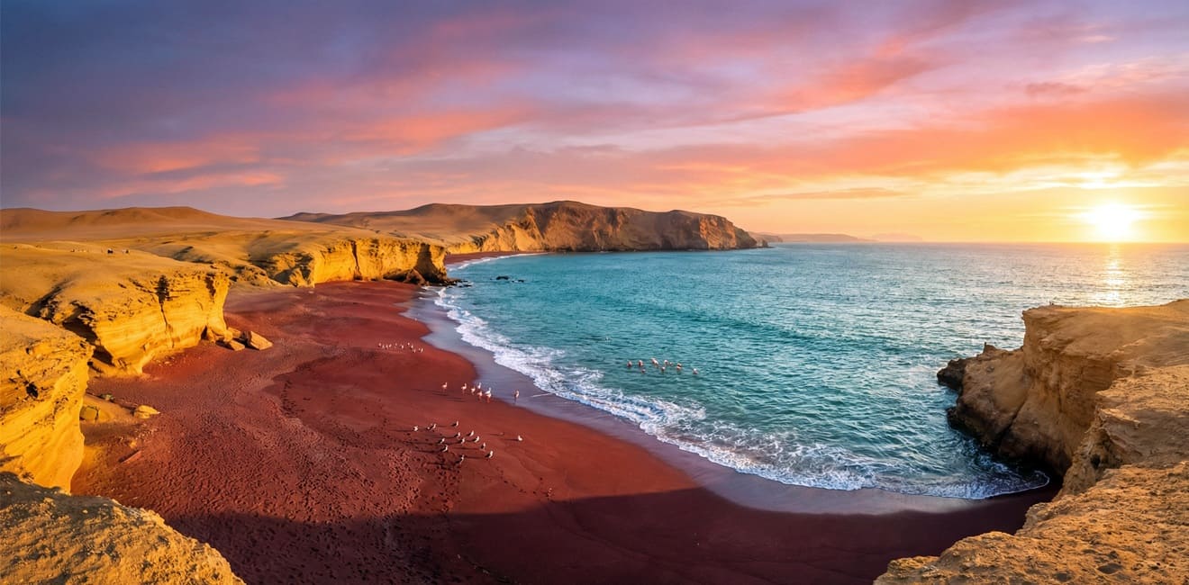 Ballestas & Paracas